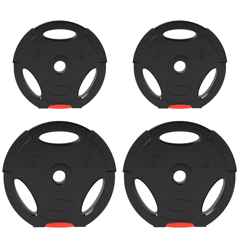 SPORTNOW Juego de Discos Pesas de 4 Piezas Discos de Pesas Total 30 kg 2x10 kg 2x5 kg con Orificios de 25 mm para Mancuernas Barras Entrenamiento Casa Gimnasio - Deporte