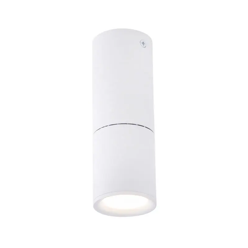 FORLIGHT Plafon IP23 Tub Small LED 5.8W 4000K Blanco 519Lm - Decoración