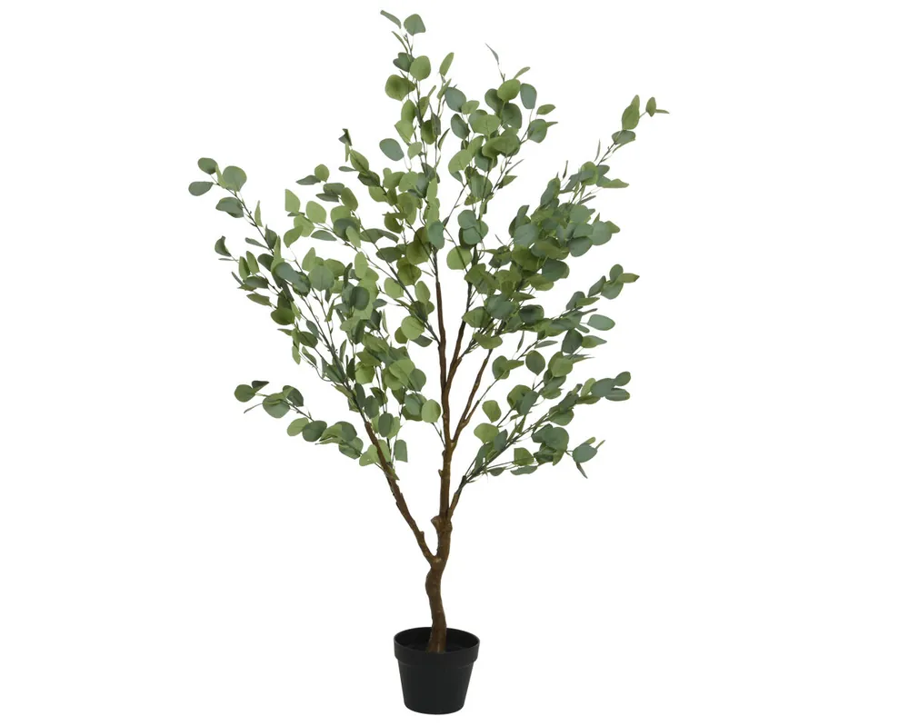 Planta artifical EUCALIPTO marca EVERLANDS FLOWERS AND PLANTS - Jardín