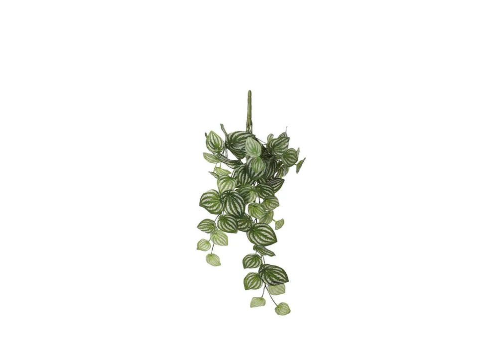 Planta artificial colgante PEPEROMIA marca MYCA - Jardín