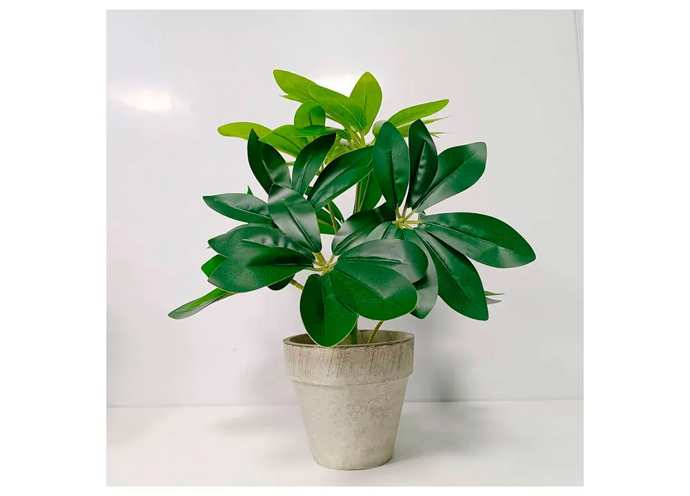 Planta artificial EMIL con maceta - Jardín