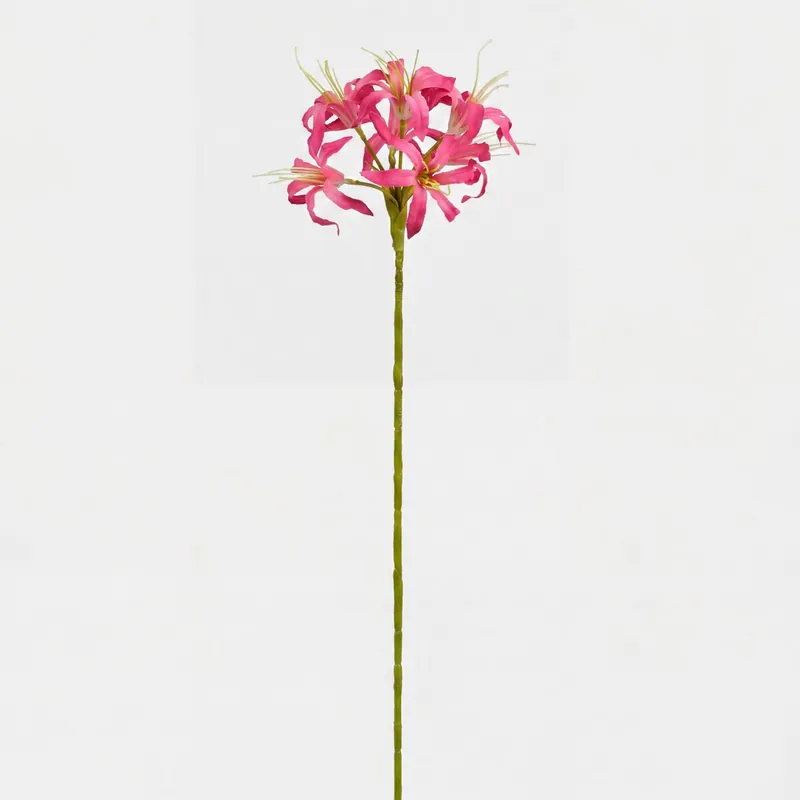 Planta floral NERINE fucsia 59cm marca CONFORAMA - Decoración