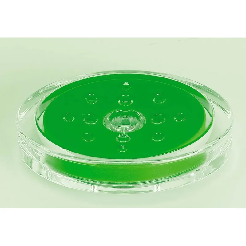 Spirella Colección Sydney, Bandeja Para Pastilla De Jabón 3,0 X 10,0 X 13,0 Cm, Acrílico, Verde - Baño