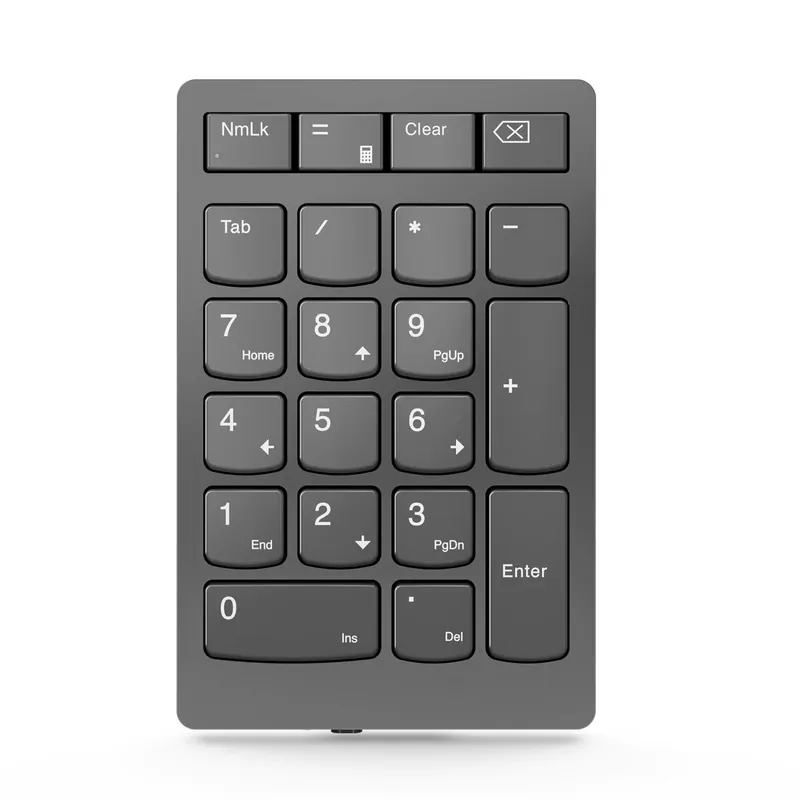 Teclado numérico Lenovo GY41C33979 Gris - Electrónica