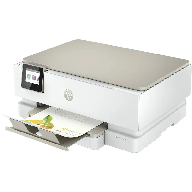 Impresora HP 242P6B V2 - Electrónica