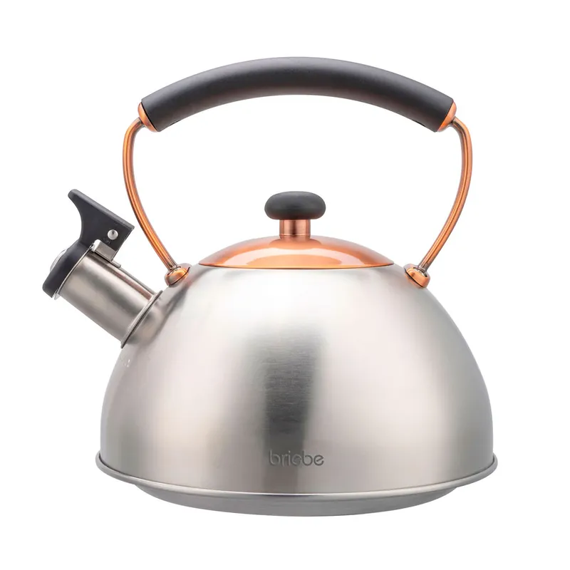 Briebe I-Bronze Tetera con Silbato, Hervidor de Agua 2,3L, Inducción, Acero Inox, Vintage, Mango Cool Touch, , Acero Inoxidable