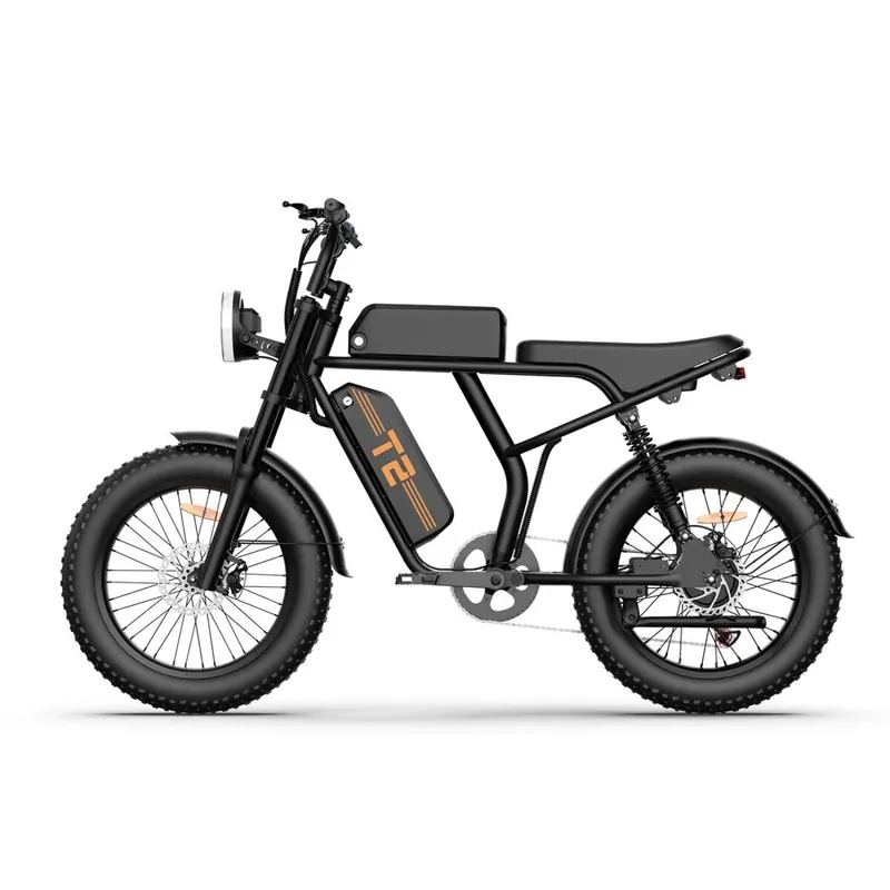 Bicicleta Eléctrica URLIFE T2 - Motor 250W Batería 48V 15.6Ah Pedal Asistido Modo de asistencia al pedaleo - Negro